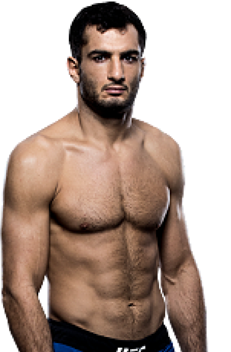 Gegard Mousasi