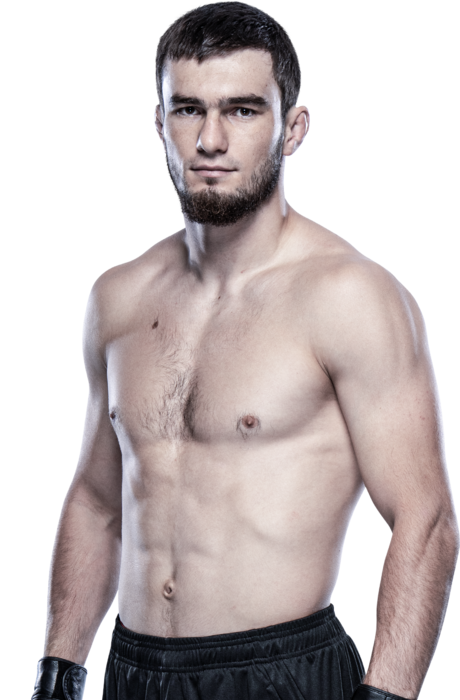 Murtazali Magomedov