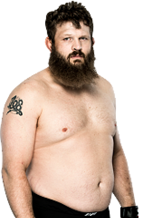 Roy Nelson